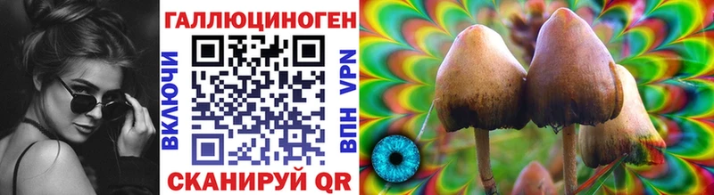 нарко площадка как зайти  купить наркотики цена  Хвалынск  Галлюциногенные грибы мухоморы 